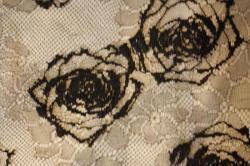 Détail dentelle SOLSTISS